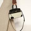 Autumn and Winter New Linen Mini Platinum Bag, High-end Fashion, Simple and Versatile, Portable Single Shoulder Oblique Span Temperament Women's Bag