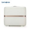 Samsonite HH5 Fashion Vertical Stripe Mini Travel Case