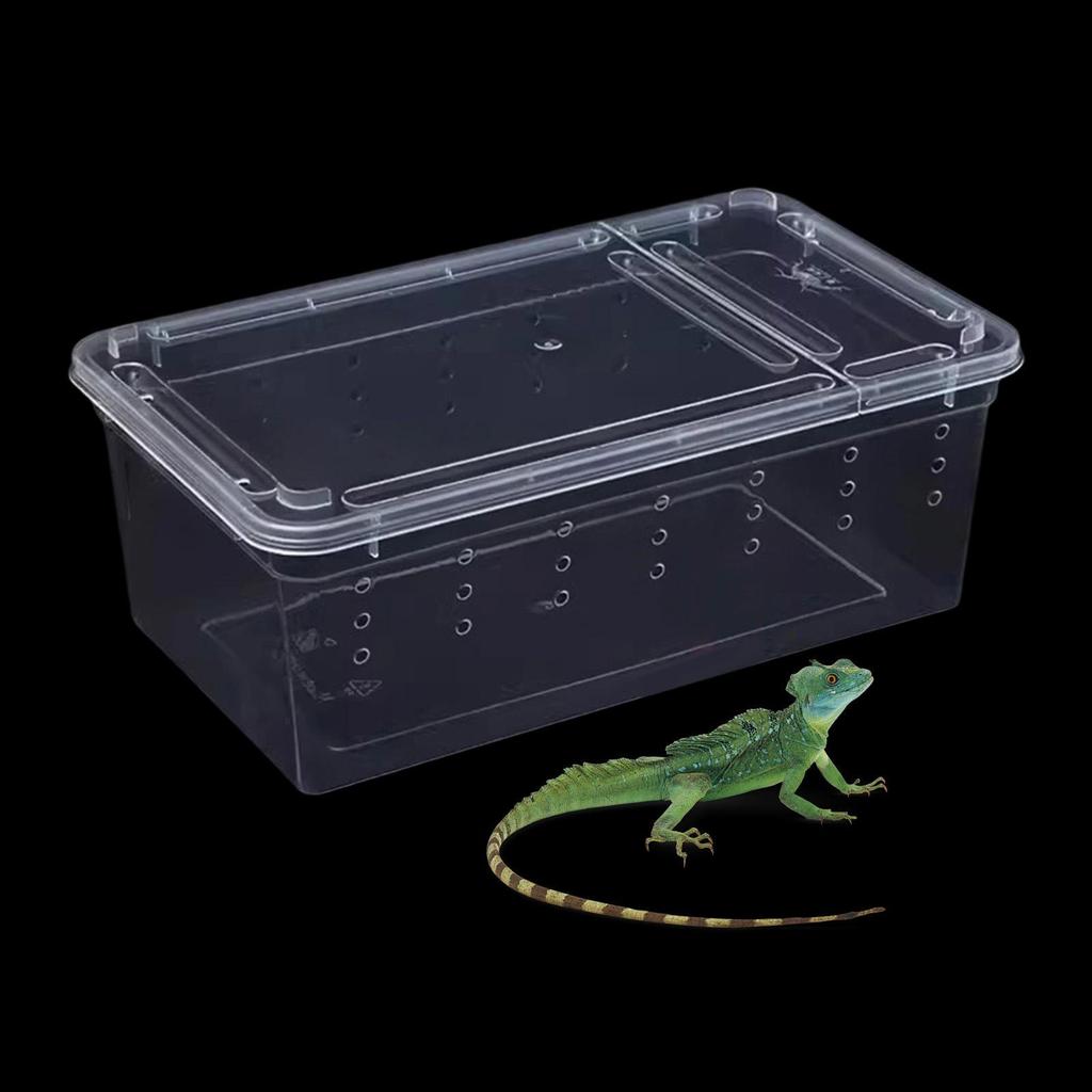 Reptile Feeding Box Breeding Critter Hatching Container Clear Terrarium Habitat Cage for Animal