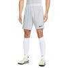 Nike Dri-FIT ADV Sport Quick-Dry Striped Elastic Waist Mid-Rise Casual Shorts Men shorts IR8429-100