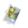 20Pcs Diy Transparent Specimen Bookmarks Plastic Frame For Pressed Leaves Flowers Pressed Flowers Herbarium Journal Scrapbooking