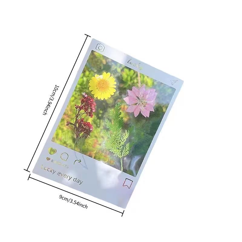 20Pcs Diy Transparent Specimen Bookmarks Plastic Frame For Pressed Leaves Flowers Pressed Flowers Herbarium Journal Scrapbooking