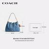 COACH EVELYN Chain Shoulder Crossbody Bag