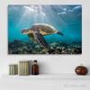 Green Sea Turtle Swims Underwater Wall Pictures Canvas Painting Ocean Marine Life Animal Posters Prints for Living Room Decor