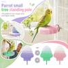 Bird Toy for Climbing and Play - Stand for Small Birds