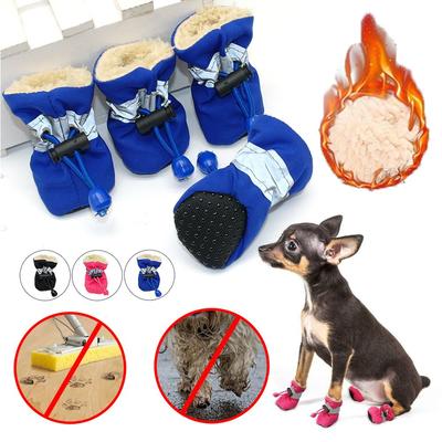 Abbigliamento e scarpe – Scarpe per cani