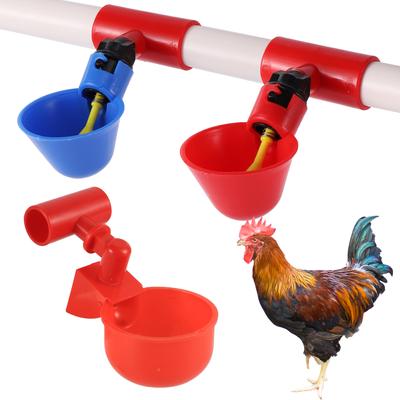 Kuş – Besleme ve Sulama Malzemeleri