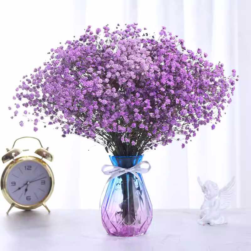 Baby's Breath Dried Flower Bouquet - Real Decorative Flowers for Living Room and Gift Packaging