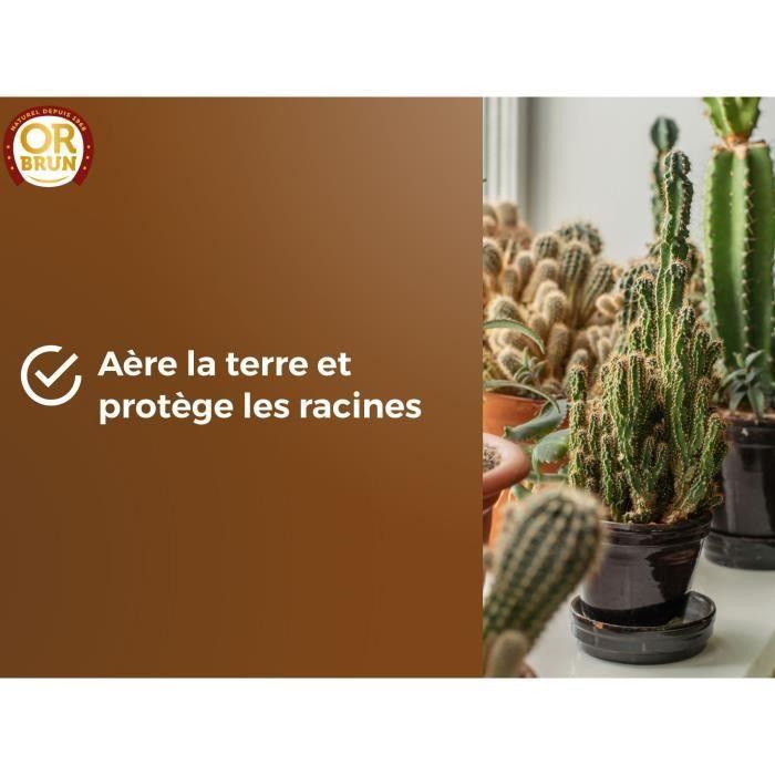 Substrat cactus & plantes grasses - or brun - obrtcac6u - 6l - favorise la croissance