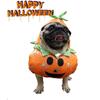 M-Modern-Dog Cat Halloween Pumpkin Costume,Pet Cosplay Costumes,Puppy Warm Outfits Hoodie Animal Autumn Winter Clothes