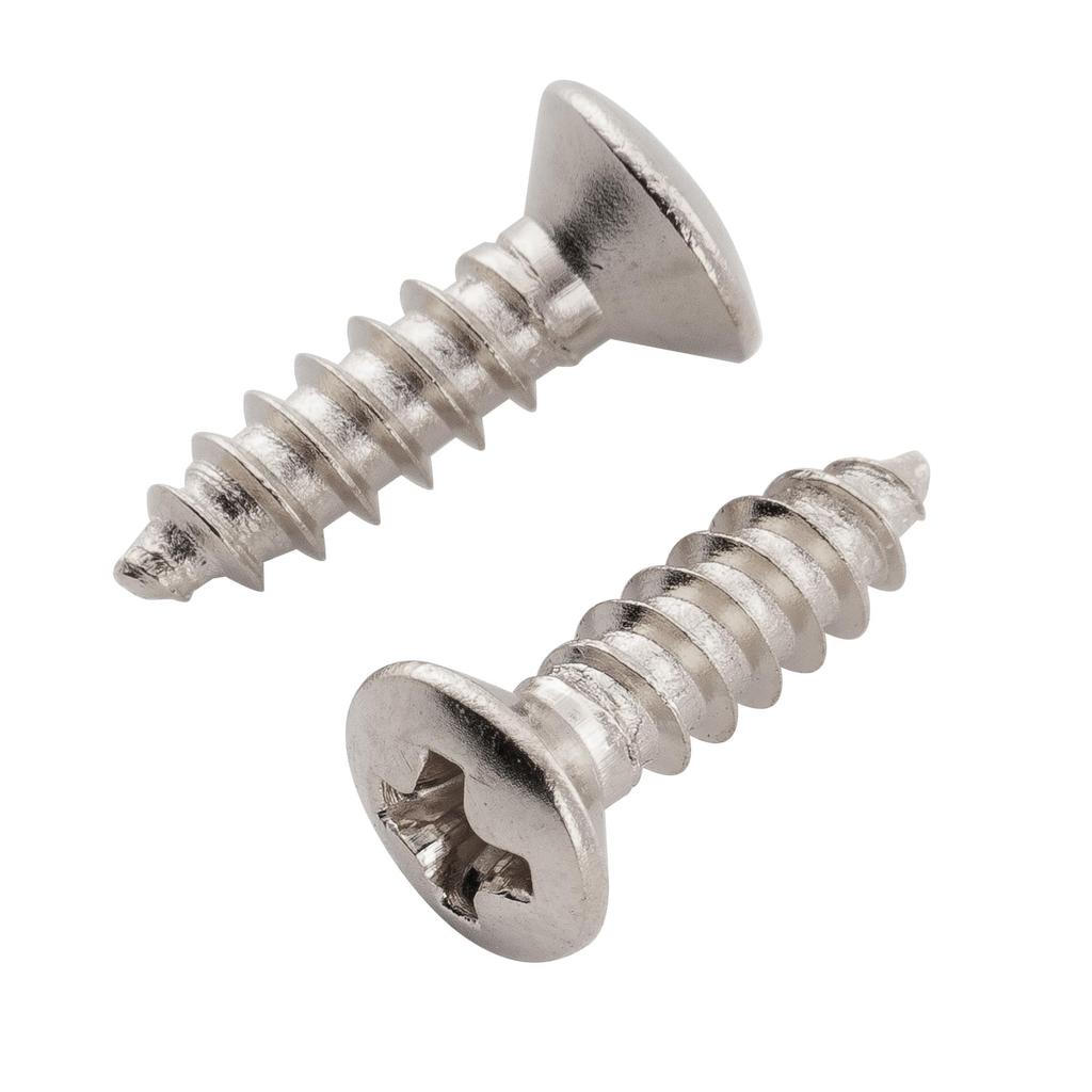 Musiclily Ultra Stainless Steel Truss Rod Cover Mounting Round Head Screws for Epi Electric Nickel of 2.5x10mm Guitars, (Set 10)
