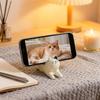Creative Cat Phone Stand Cute Cat Model Phone Storage Rack Home Office Desktop Decoration Ornament Birthday Gift