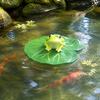 Natuur Geïnspireerd Ornament Kikker op Drijvend Lotusblad Beeldje, Grappig Hars met Buiten Waterpartij Figuur voor Huis, Sprookjes Tuin, Vijver, Zwembad, Vis