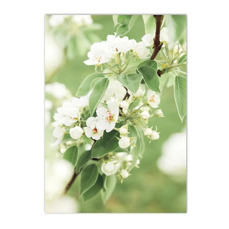 

Весенний подсолнух, ветряная мельница, фермерский дом, сельское растение, цветок, настенная живопись на холсте, желтый постер, идеальный декор для гостиной 50x80cm No Framed