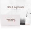 Neptune Clover Grafted Eyelashes: Natural, Thick, Super Soft, Baby Curl 05