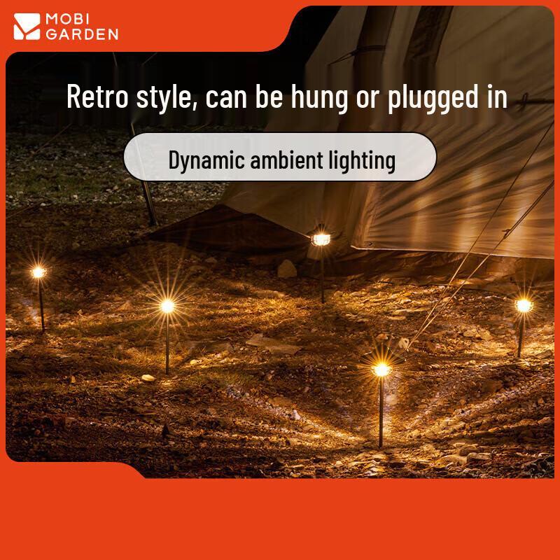 Mobi Garden Solar Star Wish Ground Lights (2-Pack)