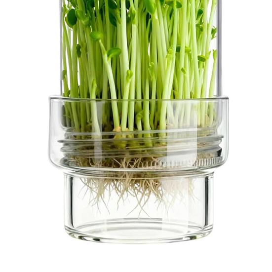 Sprouting Jar Kit, Wide Mouth Glass Jar with Sprout Lid, Blackout Sleeve, Plant Sprout Growing Kit for Home Gardeners Vegan Diets