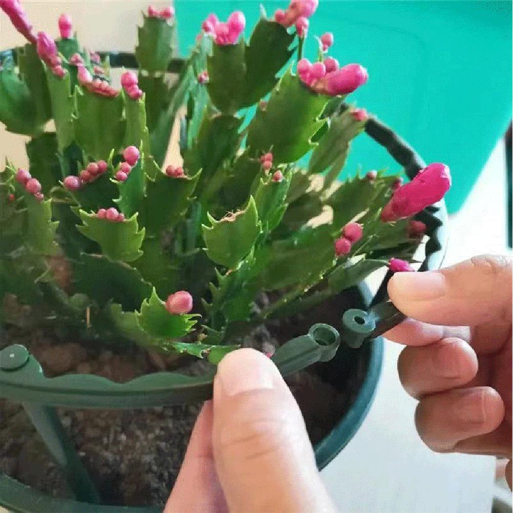 6pcs Plant Support Cage Metal Anti-Rust Garden Plant Support Tomato Trellis Climbing Plant Flower Support