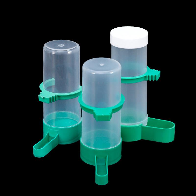 Bird & Parrot Automatic Water Feeder and Food Dispenser