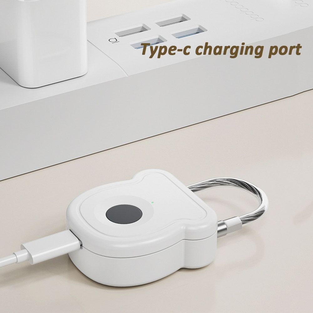 USB Charging Smart Padlock ABS Door Lock Portable Fingerprint Lock