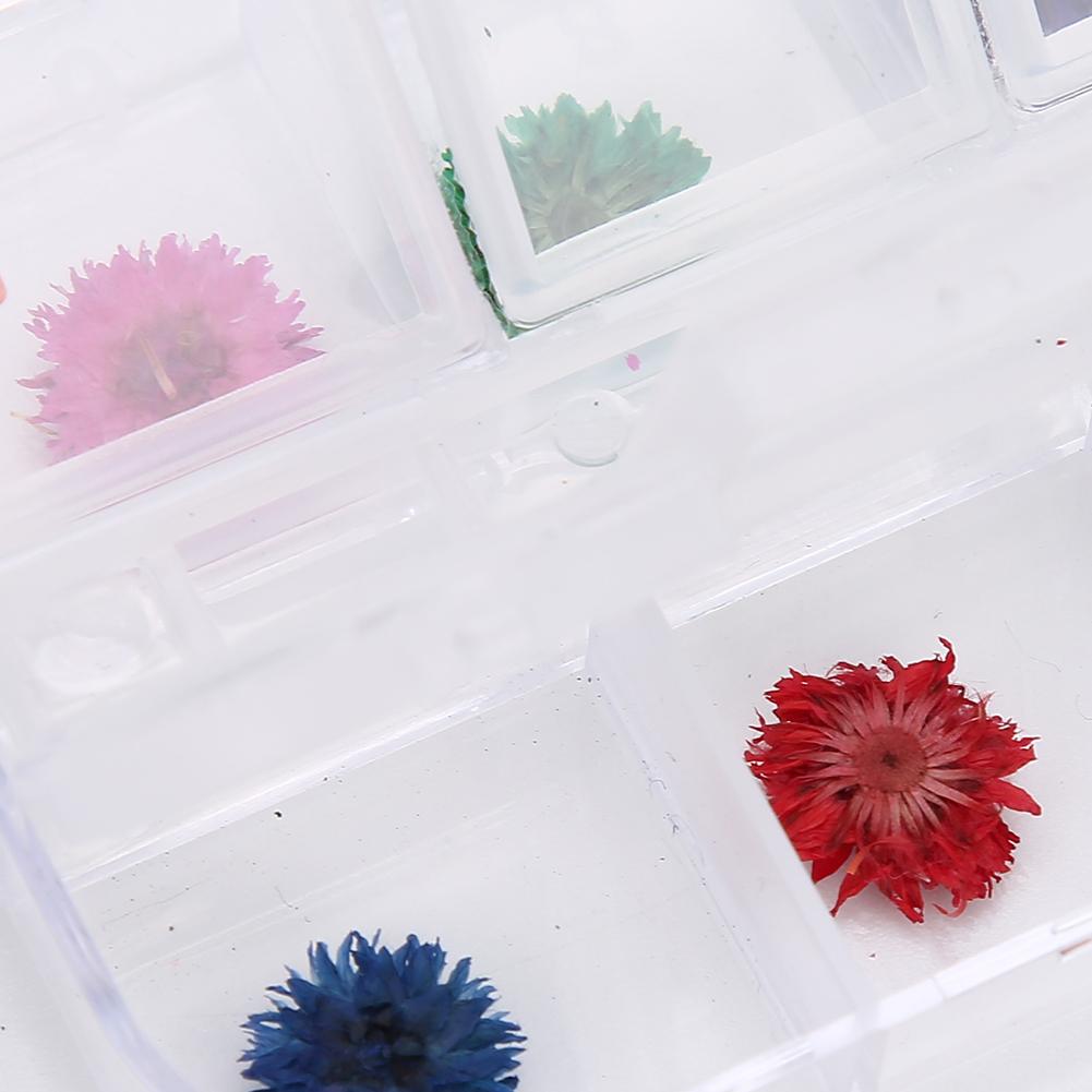 12 Colors / Box Dried Flower Nail Decoration DIY Nail Art Decoration AccessoriesD Style