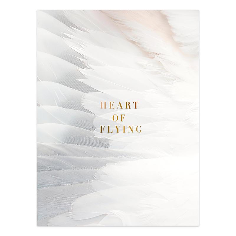 

Скандинавская гипсовая скульптура, настенный художественный постер, перья, украшение на спину для девушки, печать на холсте, картина для гостиной, домашний декор 21x30cm No Framed