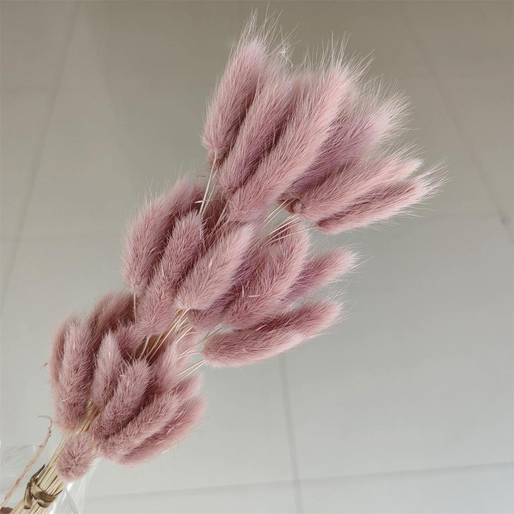 Yunnan Dried Flowers Bouquet - Rabbit Tail Grass