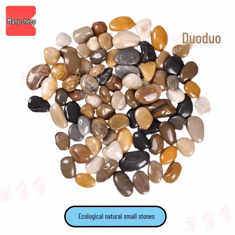 Yangduoduo Early Childhood Educational & Play Supplies