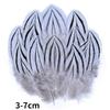 Natural Pheasant Feathers Peacock Feather Eagle Small Plume Handicraft Accessories Jewelry Creation Holiday Decoration