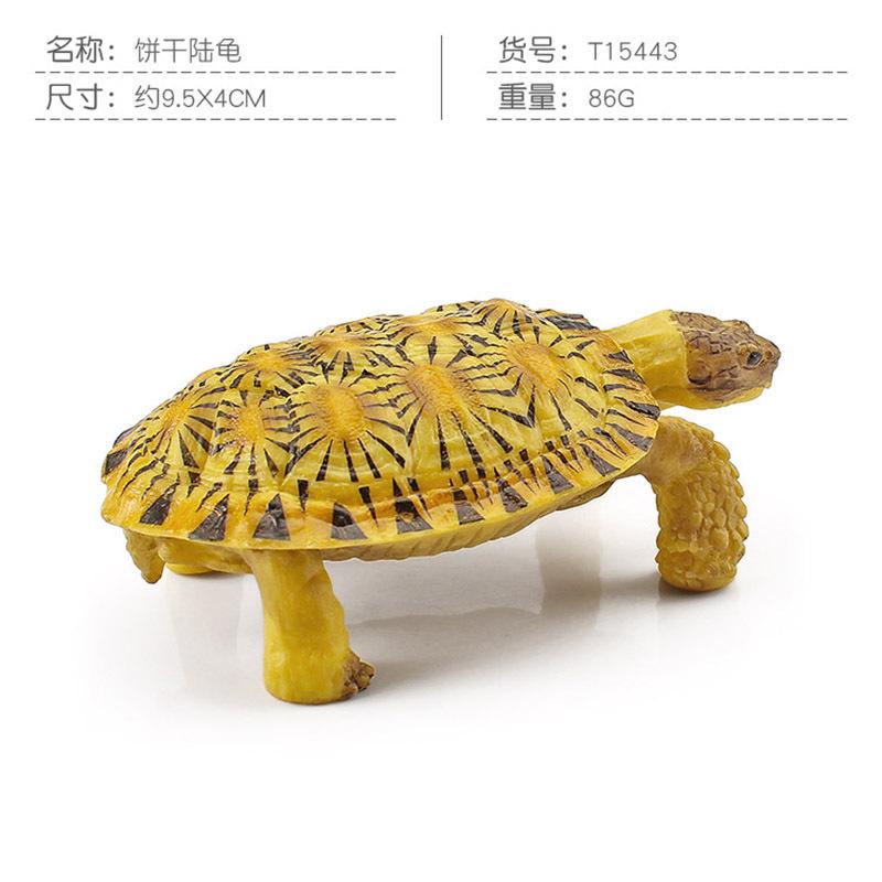 Simulation Amphibian Reptile Model Tortoise Tortoise Star Tortoise Static Decoration Cognitive Ornament Toy