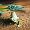 Leaves to cool off simulated frog ornaments fish pond fish tank micro landscape layout home balcony crafts