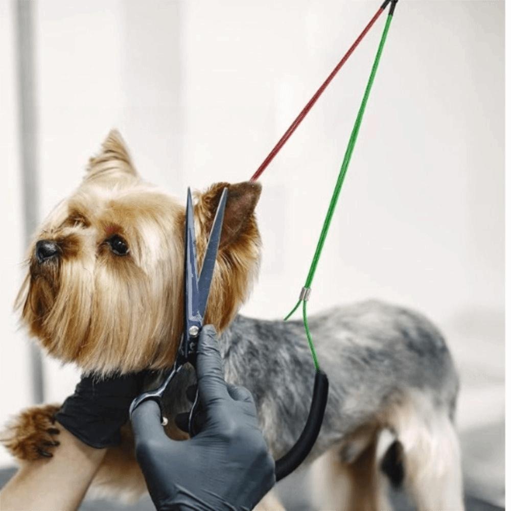 Soft Foam Padded Dog Restraint Rope Adjustable Pet Bathing Fixed Leash Pet Training