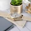 Solar Watch for Made in Japan Lizard [LCREA] LC2001-GPRIV Women, (Genuine Leather/Ivory)
