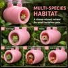 Wall Mounted Lizard Cave Shelter Suction Cup Reptile Cave Decoration  Pet Rest Nest