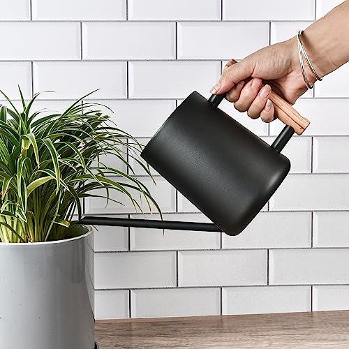 IMEEA Watering Can, 1000ml, Stainless Steel with Wooden Handle, Stylish Gardening Tool, Black