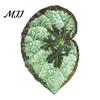 Plant Home Decor 3D Tropical Plants Refrigerator Magnet, Acrylic Green Decorative Fridge Metal Surface Magnet Memo Notes Photo Holder for Kitchen