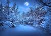 Winter Snow Mountain Forest Tapestry  Winter Landscape Snowy Woodland Scene WallMounted Home Decor