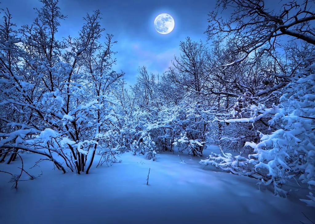 Winter Snow Mountain Forest Tapestry Winter Landscape Snowy Woodland Scene WallMounted Home Decor
