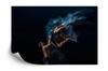 Photomural Contemporary Dancers Structural Vinyl 254x184