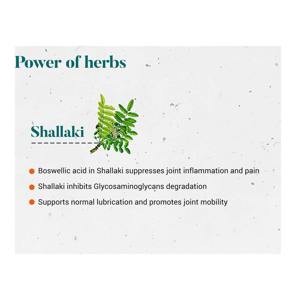 Himalaya Wellness Shallaki Bone And Joint Tablets 60 Count Pain Relief Anti-Inflammatory Supplement