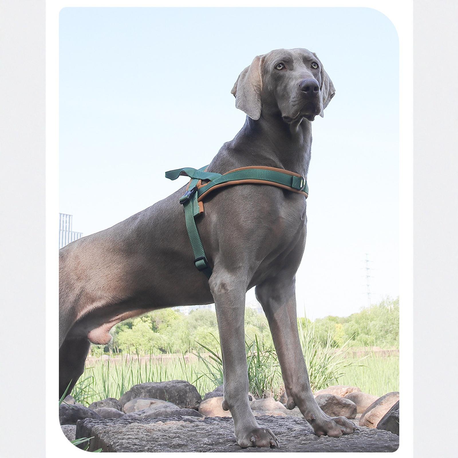 

Quick Fit Dog – No Pull for Training, Everyday Walking, and Easy Control - Adjustable Fit, Reflective, and Padded (Large, Gray) S