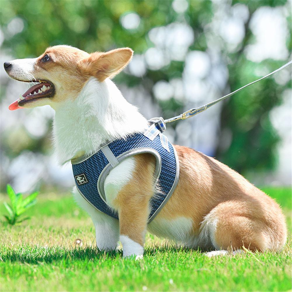 Cuerda De Tracción De Correa De Pecho Para Mascotas Verde S Cuerda De Tracción De Correa De Pecho Para Mascotas Verde S