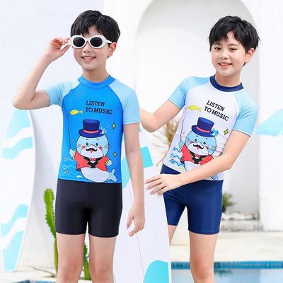 Maillot de bain 2 pièces à protection solaire à séchage rapide pour garçons, motif dessin animé pour enfants 2026