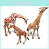 Miniature Pvc Animal Zoo Giraffe Family Static Model Collectible Toys For Kids And Adults