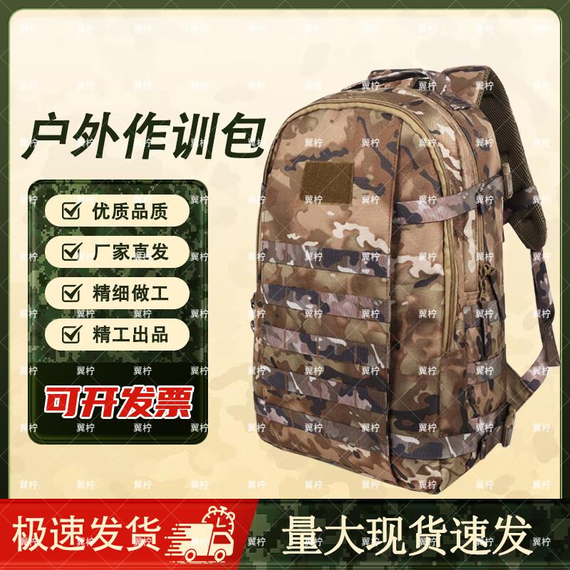 Wing Lemon Tactical Camouflage Backpack