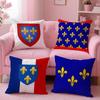 Anjou Flag French Region Cushion Cover Plush Fabric Soft Double-Sided Printed Invisible Zipper Sofa Pillow Case Home Decor