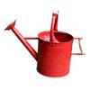 Large-Capacity Dual-Use Iron Watering Can: Ideal for Home Flower Care, Vegetable Planting, and Gardening Spraying.