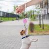 Articoli per Animali Domestici - Gatto, Cane, Piccoli Animali 2M Robusta e Durevole Rotonda e Quadrata Esterna Mini Piccola Taglia Guinzaglio Automatico Retrattile