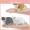 Siamkatze Tierfigur PVC Dekoration Für Kinder Pädagogisches Spielzimmer Sammlerspielzeug