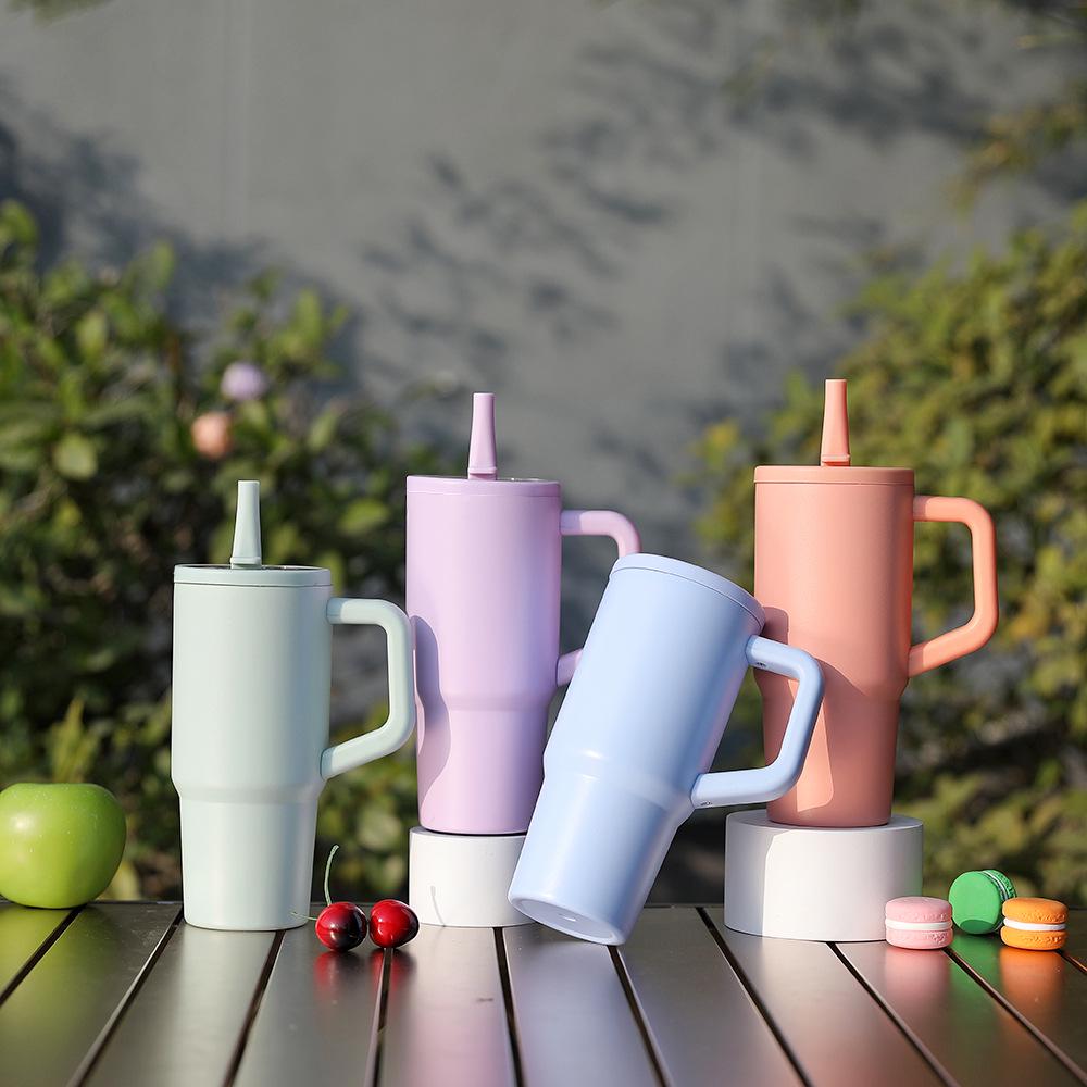 Popular 710ml Insulated Stainless Steel Water Bottle with Straw Lid & Handle